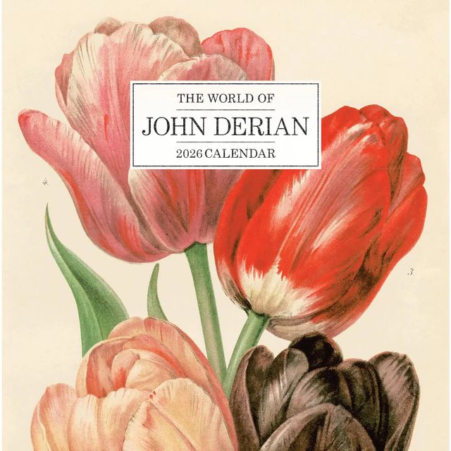 JOHN DERIAN | C O V E