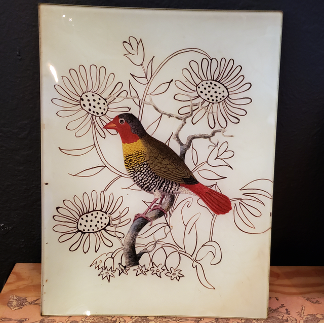 JOHN DERIAN | C O V E